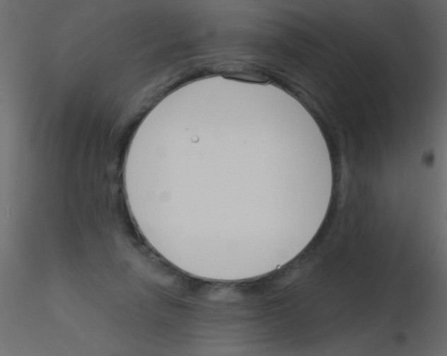 X0000115830258200912242002