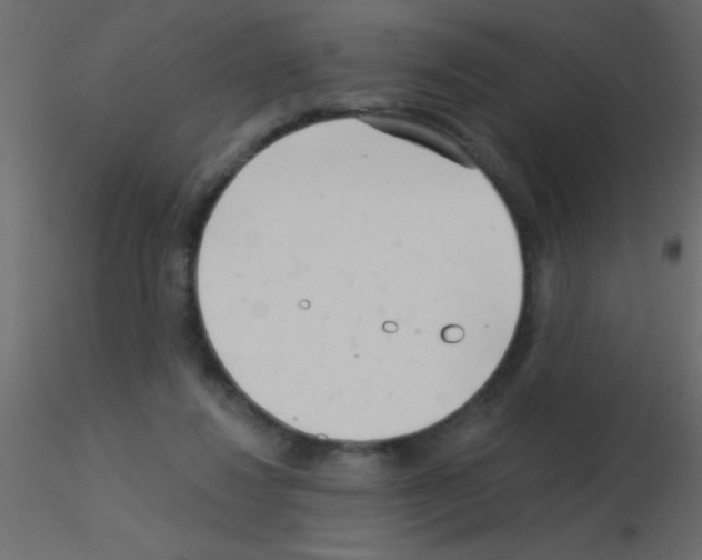 X0000115830260200912242002