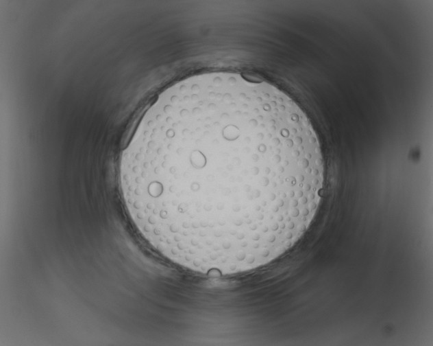 X0000115830261200912242002