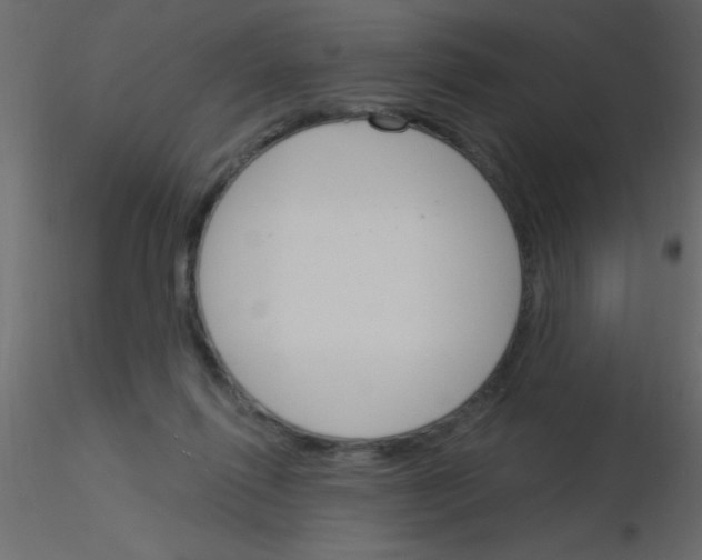 X0000115830262200912242002