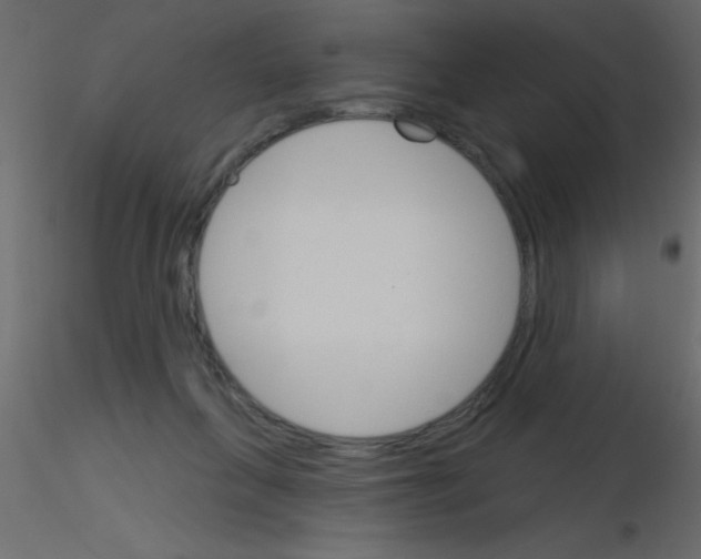 X0000115830263200912242002