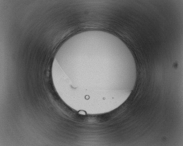 X0000115830264200912242002