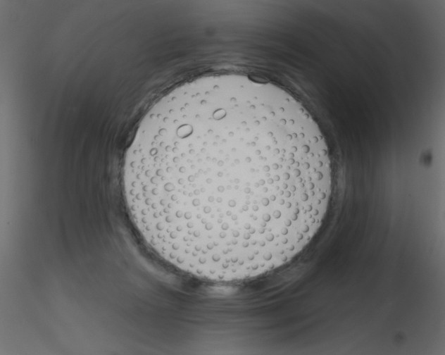 X0000115830265200912242002