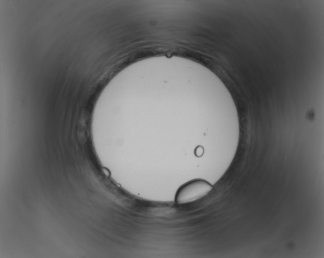 X0000115830266200912242002