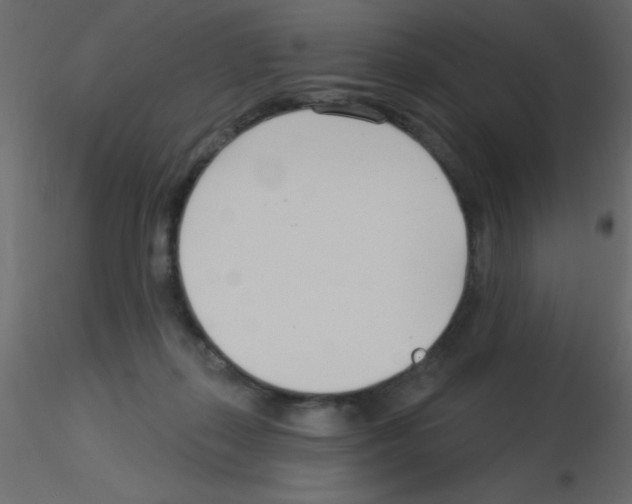 X0000115830267200912242002