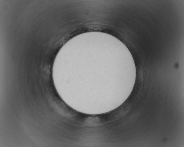 X0000115830271200912242002