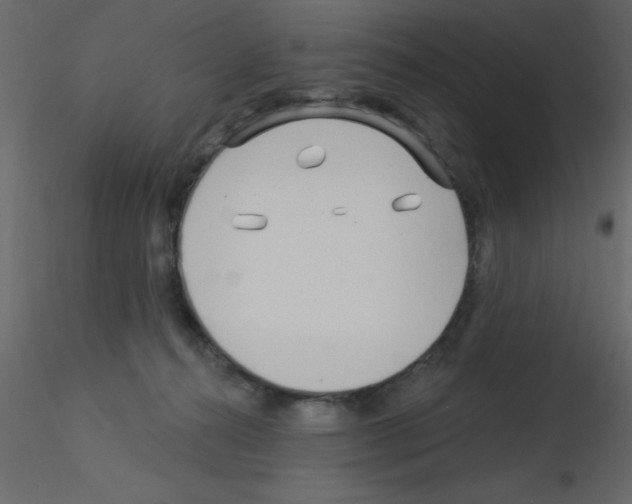 X0000115830272200912242002