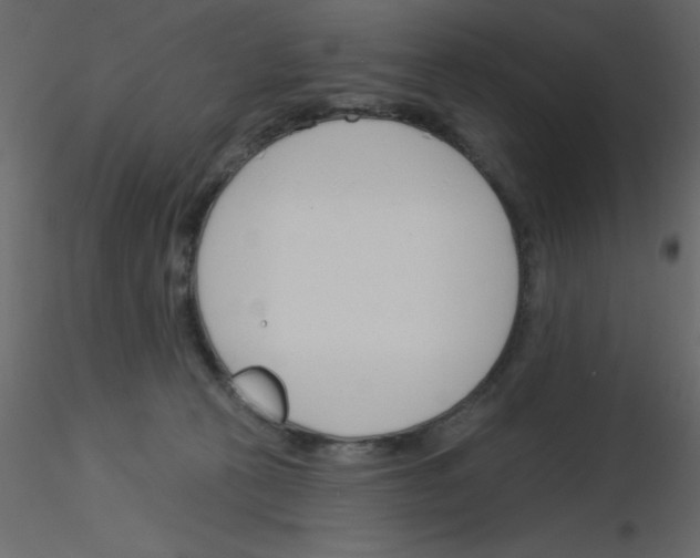 X0000115830273200912242002