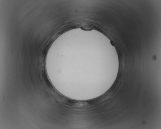 X0000115830274200912242002