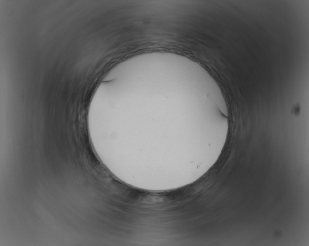 X0000115830276200912242002