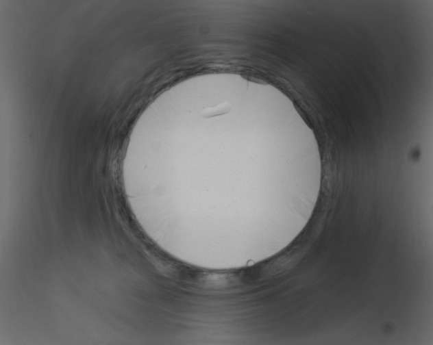 X0000115830277200912242002