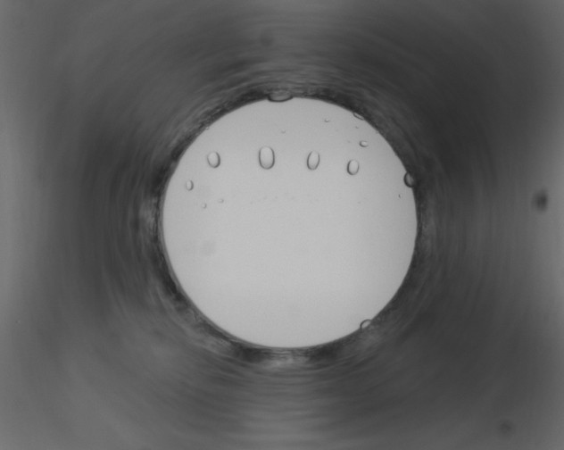 X0000115830278200912242002