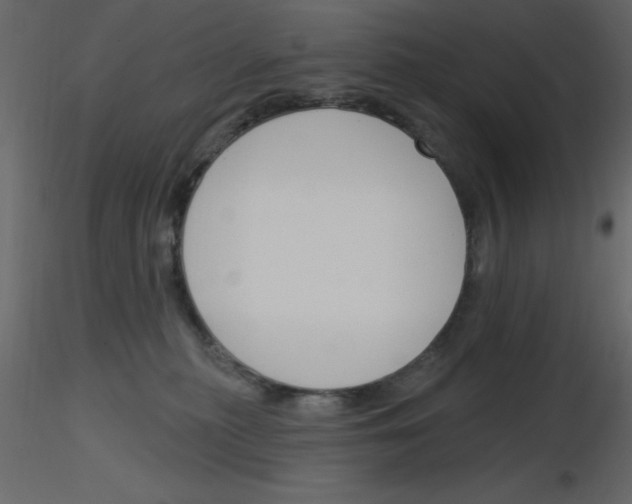 X0000115830279200912242002