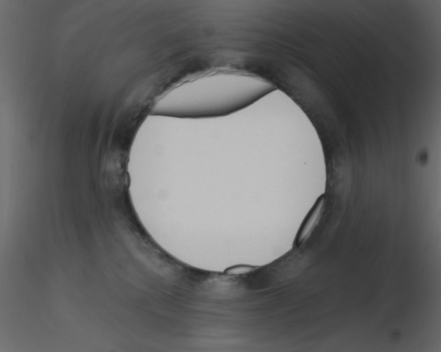 X0000115830280200912242002