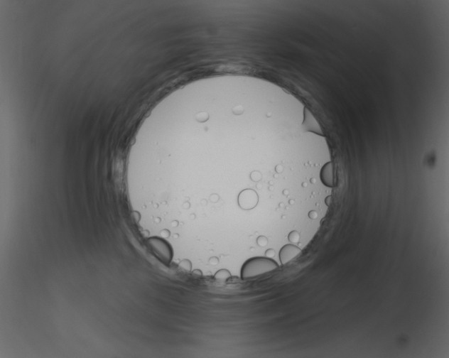 X0000115830281200912242002