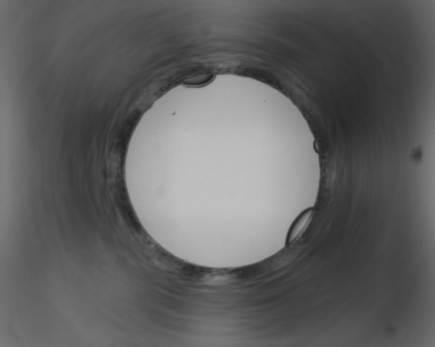 X0000115830283200912242002