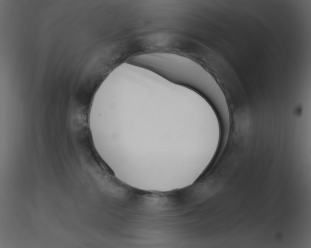 X0000115830284200912242002