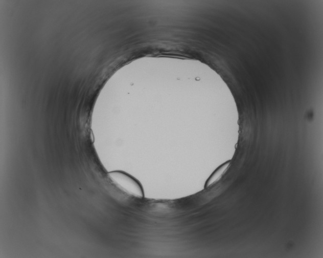 X0000115830285200912242002