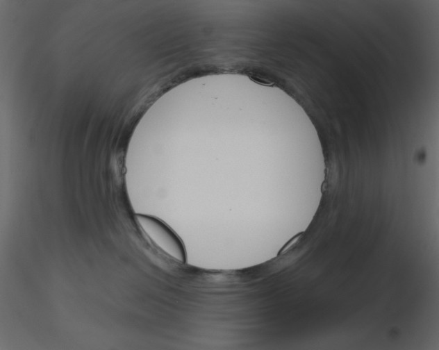 X0000115830286200912242002