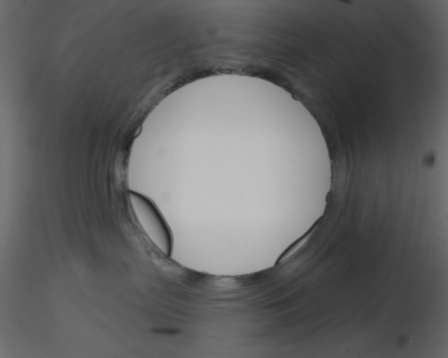 X0000115830287200912242002