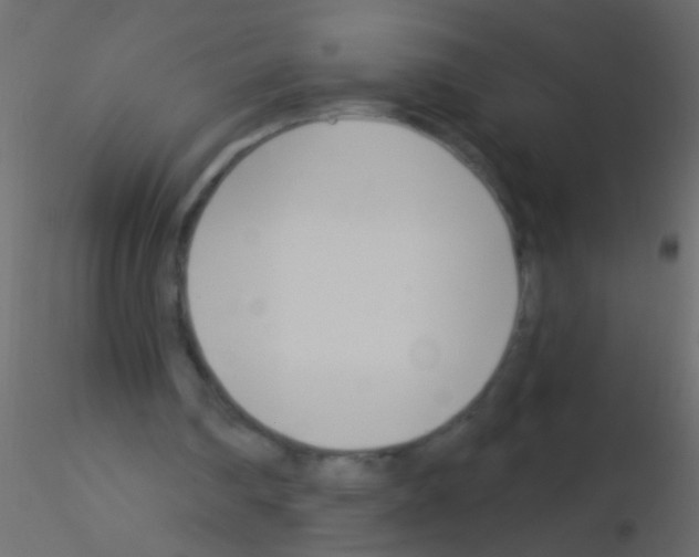 X0000115830290200912242002