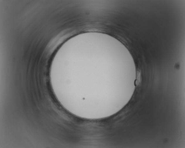 X0000115830291200912242002