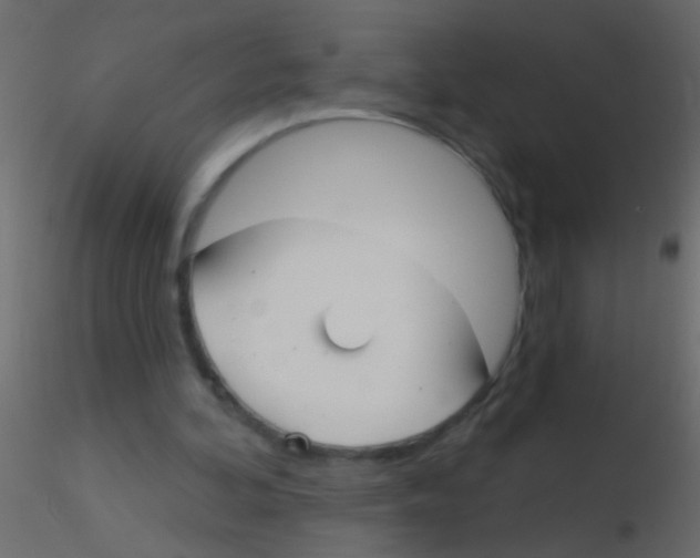 X0000115830292200912242001