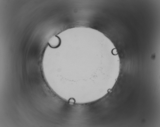 X0000115830293200912242001