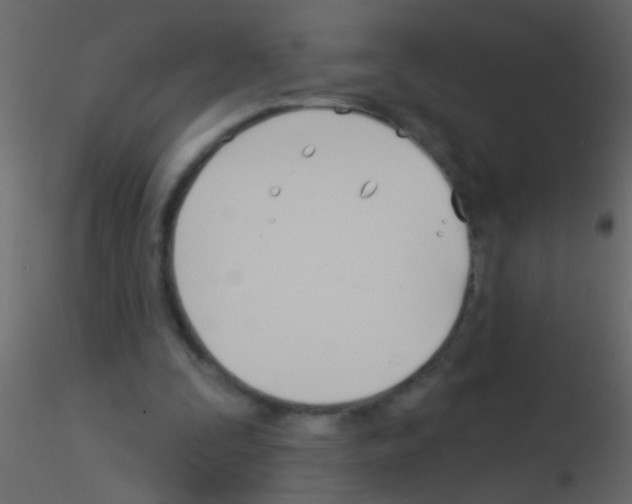 X0000115830295200912242001