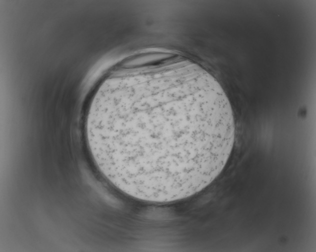 X0000115830296200912242001