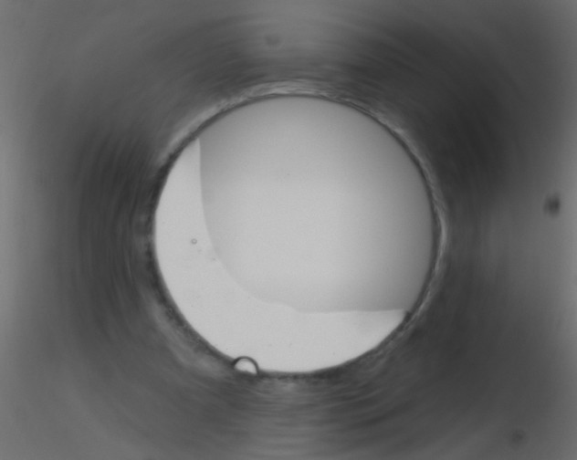 X0000115830297200912242001