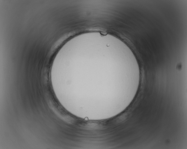 X0000115830298200912242001