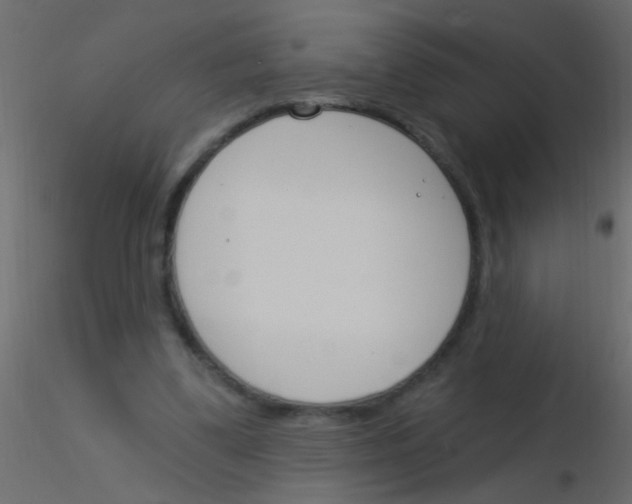 X0000115830299200912242001