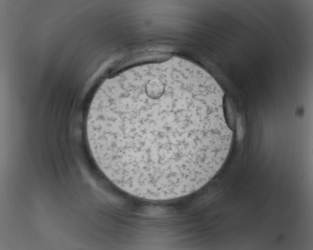 X0000115830300200912242001