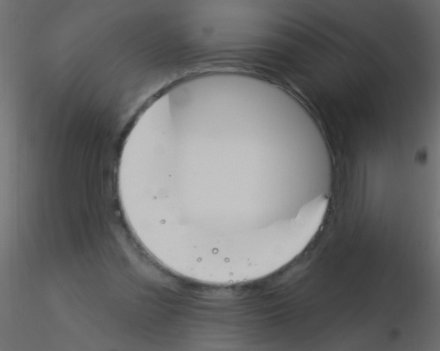 X0000115830301200912242001