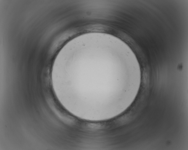 X0000115830302200912242001