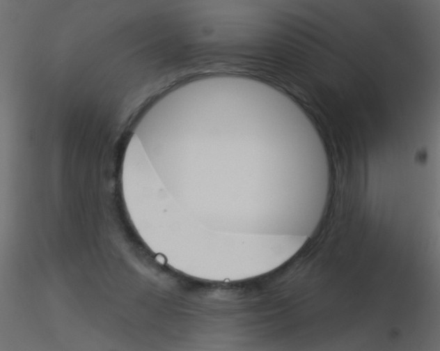 X0000115830303200912242001