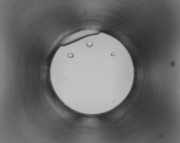 X0000115830304200912242001