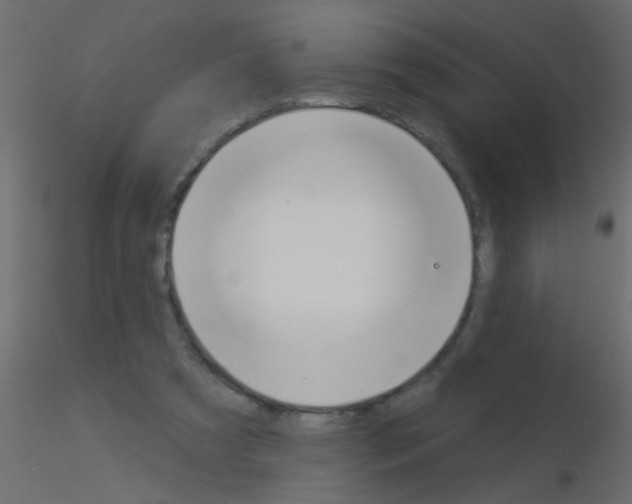 X0000115830305200912242001