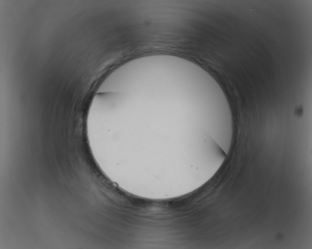 X0000115830308200912242001