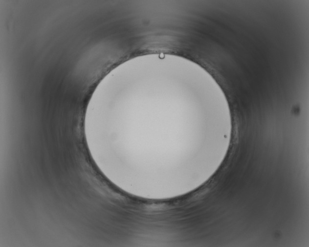 X0000115830309200912242001