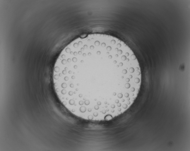 X0000115830311200912242001