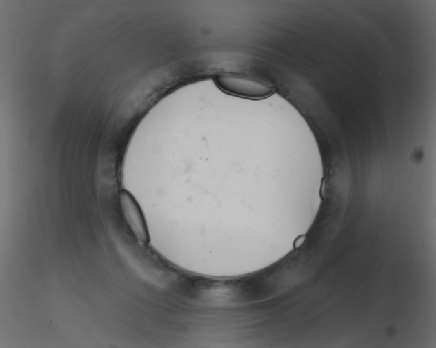 X0000115830312200912242001