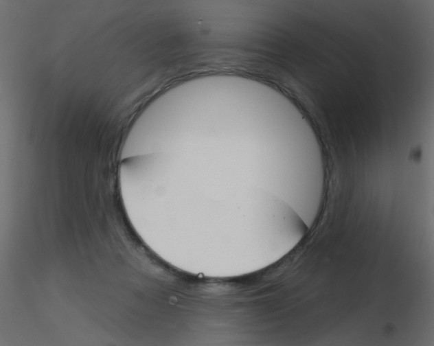 X0000115830313200912242001