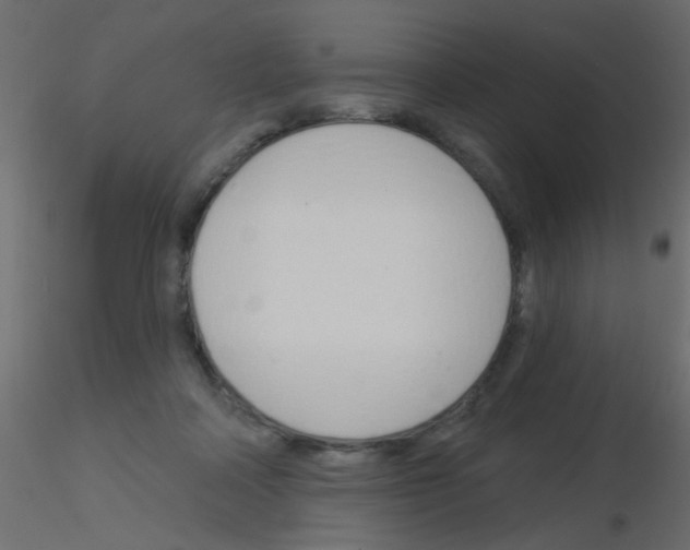 X0000115830314200912242001