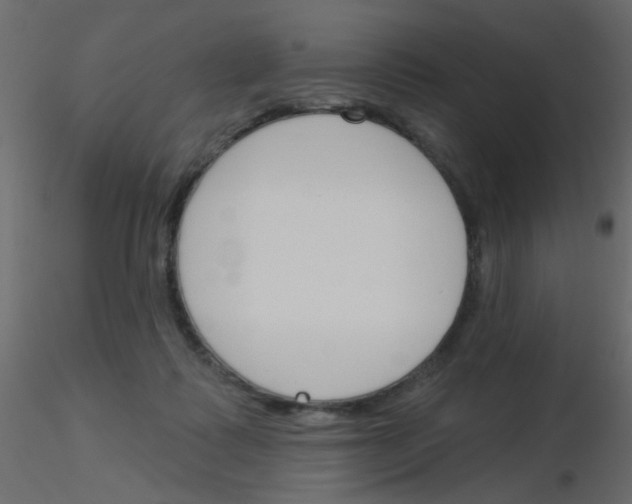 X0000115830315200912242001