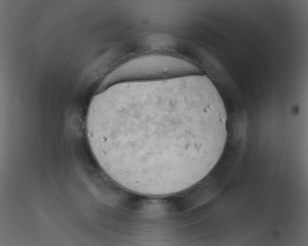 X0000115830316200912242001