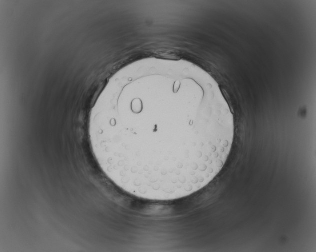 X0000115830319200912242001