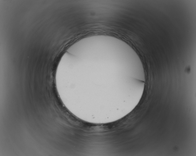 X0000115830320200912242001