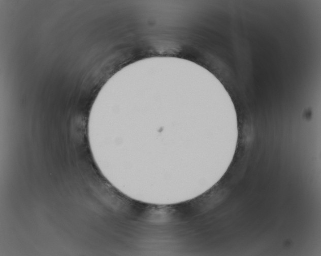 X0000115830321200912242001